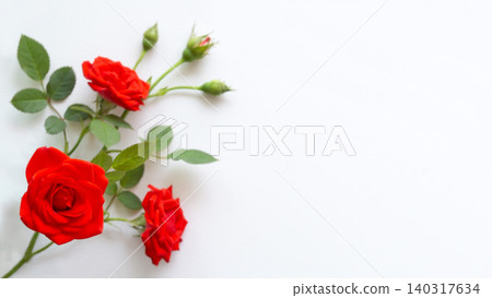 紅色玫瑰花框背景,留白,白色背景 紅色玫瑰花框背景,留白,白色背景 140317634