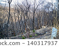 After the wildfire - charred trees in Minami Ward, Okayama City After the wildfire - charred trees in Minami Ward, Okayama City 140317937