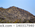 After the forest fire ~ Minami Ward, Okayama City After the forest fire ~ Minami Ward, Okayama City 140317940