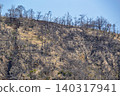 After the forest fire ~ Minami Ward, Okayama City After the forest fire ~ Minami Ward, Okayama City 140317941