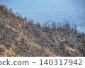 After the forest fire ~ Minami Ward, Okayama City After the forest fire ~ Minami Ward, Okayama City 140317942