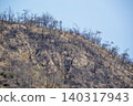 After the forest fire ~ Minami Ward, Okayama City After the forest fire ~ Minami Ward, Okayama City 140317943