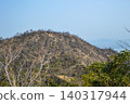 After the forest fire ~ Minami Ward, Okayama City After the forest fire ~ Minami Ward, Okayama City 140317944