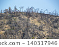 After the forest fire ~ Minami Ward, Okayama City After the forest fire ~ Minami Ward, Okayama City 140317946