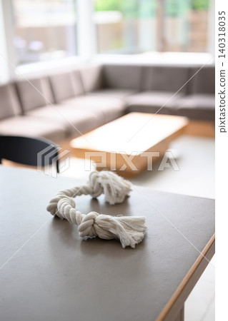 桌上的繩藝玩具 桌上的繩藝玩具 140318035