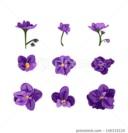 Elegant set purple African violet flowers with intricate petals and golden centers, isolated on a white background. Ideal for greeting cards, invitations, and floral designs. Elegant set purple African violet flowers with intricate petals and golden centers, isolated on a white background. Ideal for greeting cards, invitations, and floral designs. 140318120
