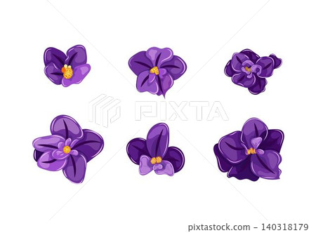 Elegant set purple African violet flowers with intricate petals and golden centers, isolated on a white background. Ideal for greeting cards, invitations, and floral designs. Elegant set purple African violet flowers with intricate petals and golden centers, isolated on a white background. Ideal for greeting cards, invitations, and floral designs. 140318179
