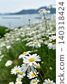 The sea of Innoshima Taguma and pyrethrum 140318424