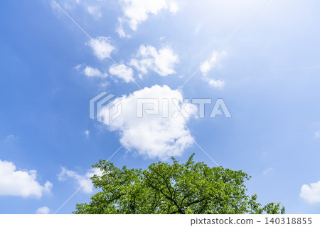 Early summer blue sky, clouds, and trees Early summer blue sky, clouds, and trees 140318855