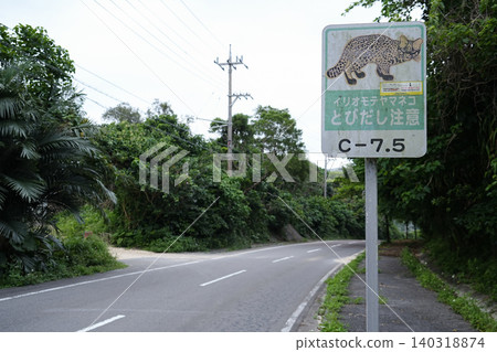 Okinawa Prefecture_Iriomote Island_Iriomote wildcat warning Okinawa Prefecture_Iriomote Island_Iriomote wildcat warning 140318874