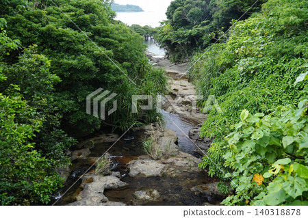 Okinawa Prefecture, Iriomote Island, Omisha River Okinawa Prefecture, Iriomote Island, Omisha River 140318878