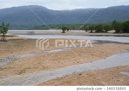 Okinawa Prefecture, Iriomote Island, Funauura Bay, Mangrove Okinawa Prefecture, Iriomote Island, Funauura Bay, Mangrove 140318893