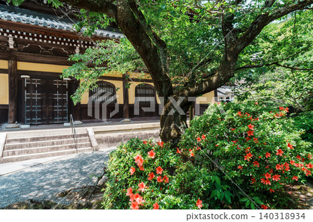 Nanzenji Temple's lecture hall surrounded by fresh greenery Nanzenji Temple's lecture hall surrounded by fresh greenery 140318934