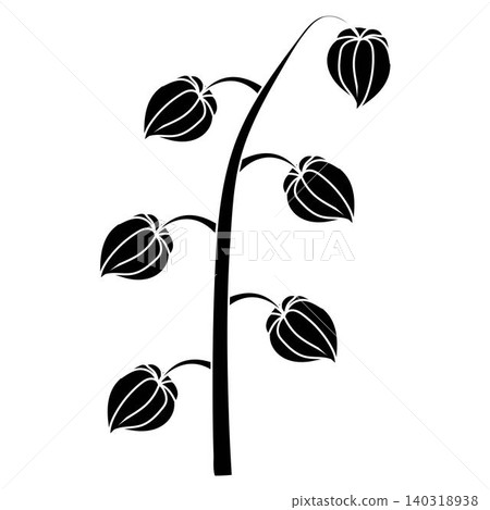 A physalis branch with four flowers in a black and white silhouette style. Vector illustration isolated on a white background. 140318938