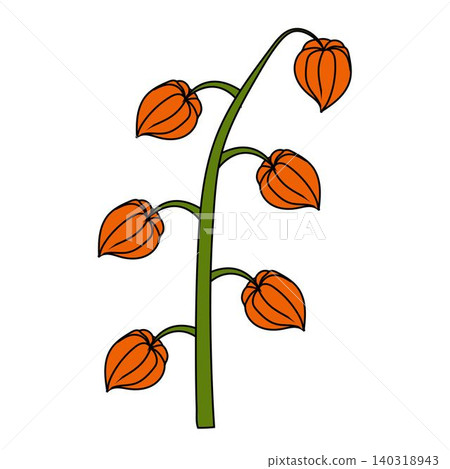 A physalis branch with three flowers and leaves in a cartoon style.  140318943