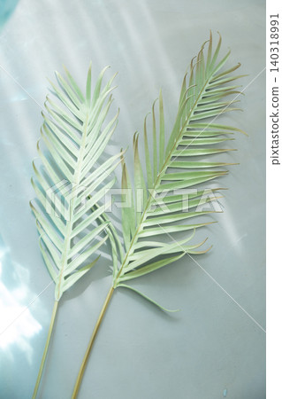 Palm leaves Palm leaves 140318991