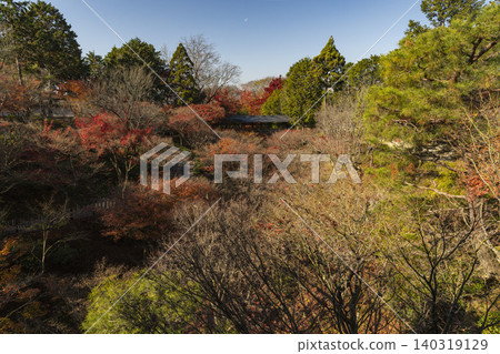 秋天的山寺被秋葉包圍 140319129
