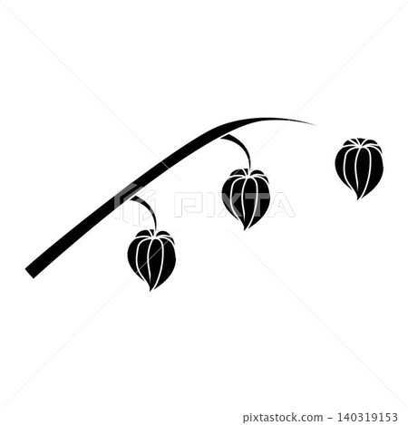A physalis branch with four flowers in a black and white silhouette style. Vector illustration isolated on a white background. A physalis branch with four flowers in a black and white silhouette style. Vector illustration isolated on a white background. 140319153