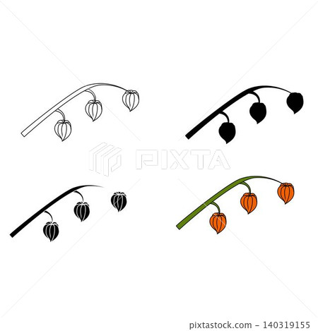 Physalis branches in various styles. Physalis branches in various styles. 140319155