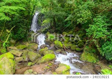 Shiraito Falls stands out against the beautiful greenery. Shiraito Falls stands out against the beautiful greenery. 140319221