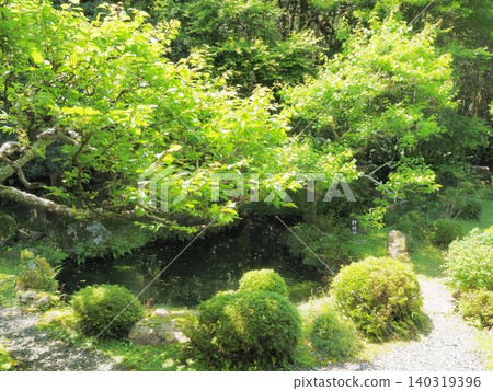 Shizuoka Prefecture: Lush historical gardens, May 140319396