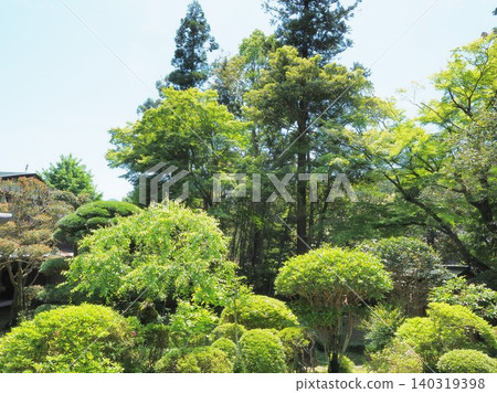 Shizuoka Prefecture, Togetsumine Shibaya-ji Temple, Historical Garden in Fresh Greenery, May Shizuoka Prefecture, Togetsumine Shibaya-ji Temple, Historical Garden in Fresh Greenery, May 140319398