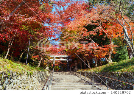 京都大原神社的秋天 京都大原神社的秋天 140319702