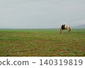Mongolia 140319819