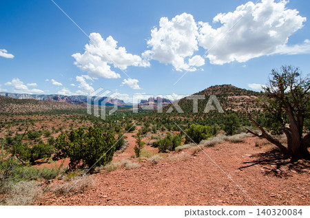 Cathedral Rock, visible in the distance amidst the wilderness of Arizona, USA. Cathedral Rock, visible in the distance amidst the wilderness of Arizona, USA. 140320084