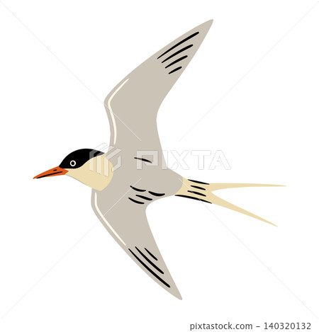 Flying Tern Bird in Flat Vector Style for Wildlife Illustration and Educational Materials Flying Tern Bird in Flat Vector Style for Wildlife Illustration and Educational Materials 140320132