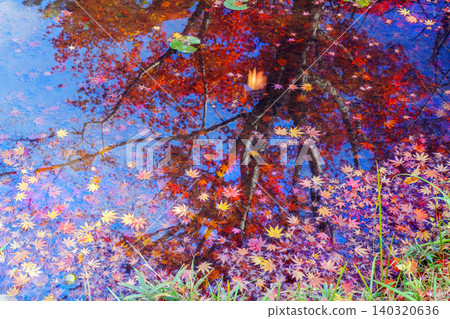Oharano Shrine Garden, Koizawa Pond 140320636