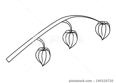 A physalis branch with four flowers in doodle style. 140320720