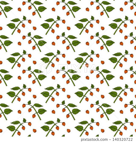 Physalis branch in cartoon style. Physalis branch in cartoon style. 140320722