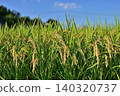 Good harvest 140320737
