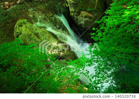 The top of Mitsutaki Falls in Ganryu Gorge, covered in fresh greenery. The top of Mitsutaki Falls in Ganryu Gorge, covered in fresh greenery. 140320738
