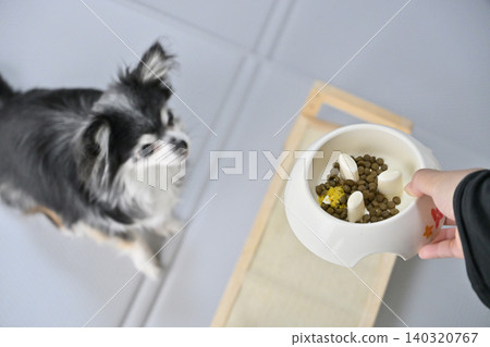 Dog food for Chihuahuas, dog food, supplements 140320767