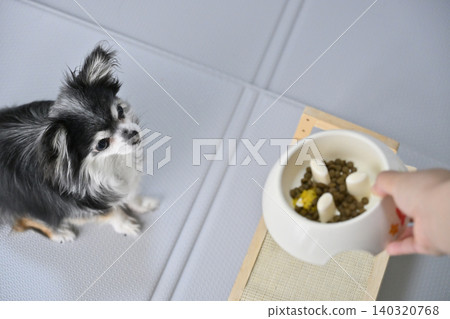 Dog food for Chihuahuas, dog food, supplements 140320768