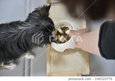 Dog food for Chihuahuas, dog food, supplements 140320770