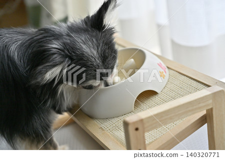 Dog food for Chihuahuas, dog food, supplements 140320771