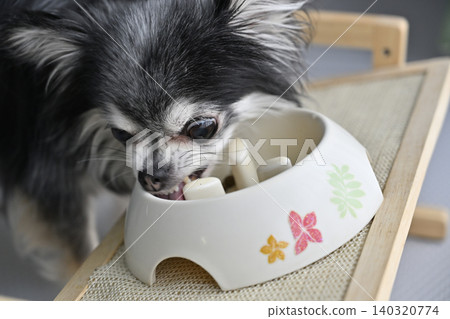 Dog food for Chihuahuas, dog food, supplements 140320774