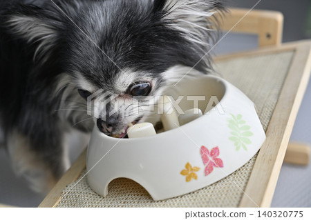 Dog food for Chihuahuas, dog food, supplements 140320775