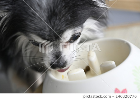 Dog food for Chihuahuas, dog food, supplements 140320776