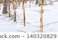 Planted forests are dying because Japanese deer are stripping the bark off the trees. 140320829