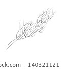 A sprig of dill in doodle style.  140321121
