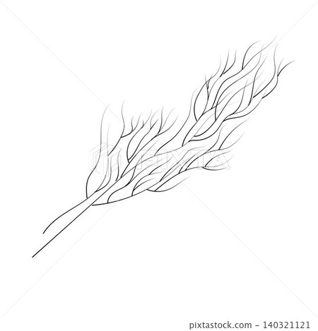A sprig of dill in doodle style.  140321121
