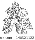 Physalis plant with leaves and flowers in doodle style. 140321122