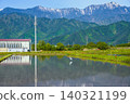 一隻白鷺站在稻田裡，遠處是白雪皚皚的嘎基嶽山 [北安津郡池田町] 140321199