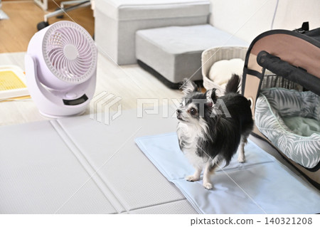 Summer heat relief for your dog: Circulator, cooling mat, cooling bed Summer heat relief for your dog: Circulator, cooling mat, cooling bed 140321208