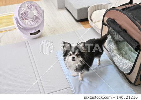 Summer heat relief for your dog: Circulator, cooling mat, cooling bed Summer heat relief for your dog: Circulator, cooling mat, cooling bed 140321210
