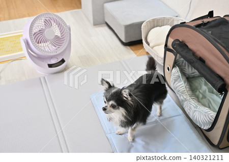 Summer heat relief for your dog: Circulator, cooling mat, cooling bed Summer heat relief for your dog: Circulator, cooling mat, cooling bed 140321211